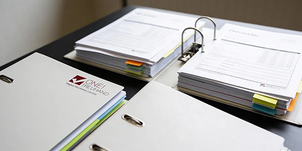 Auf dem Bild sind geordnete Aktenordner und Dokumente, die effiziente Steuerberatung und Treuhand-Dienstleistungen symbolisieren.